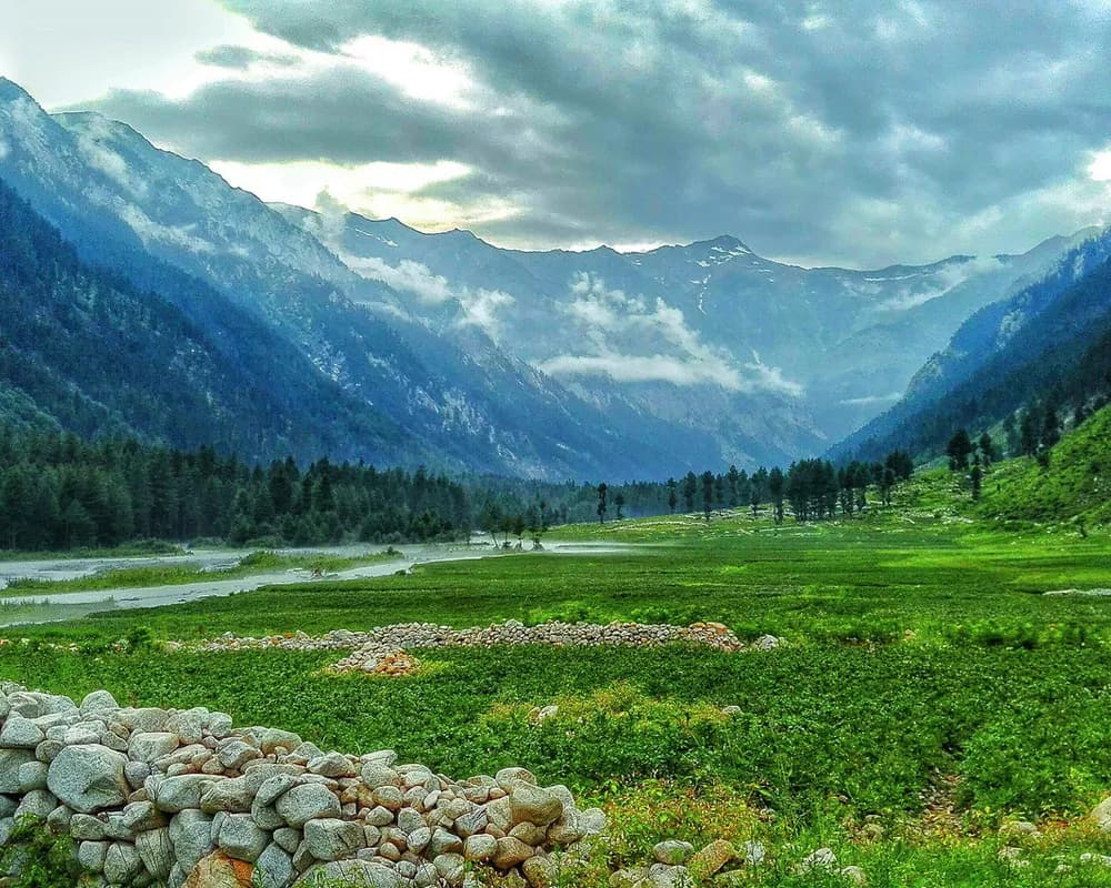Forest and alpine meadow on the route from Utror to Shahi Bagh and Pari Lake